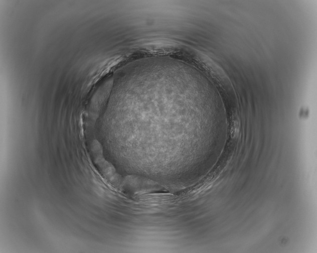 X0000091931108200709121553
