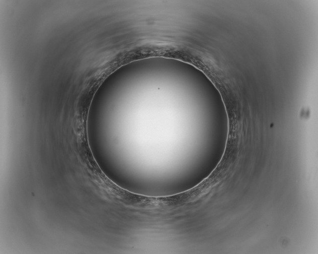 X0000091931109200709121553