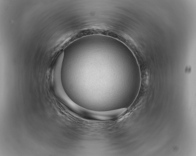 X0000091931110200709121553
