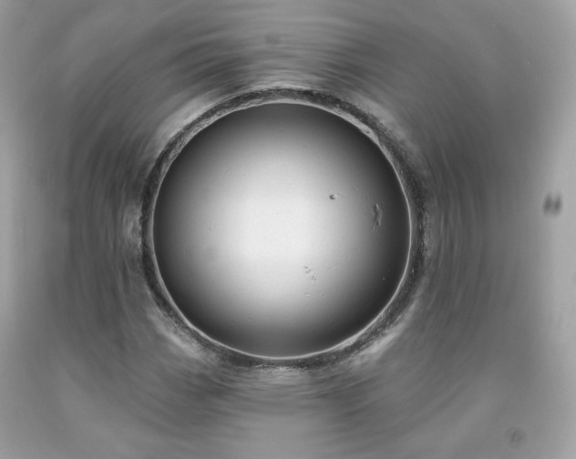 X0000091931113200709121553