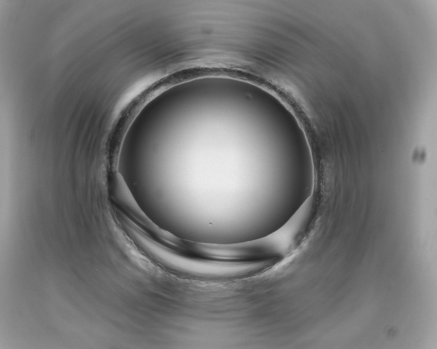 X0000091931114200709121553