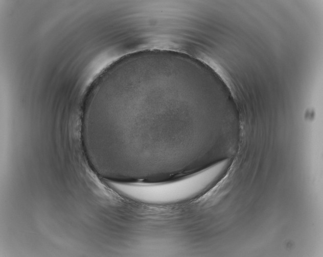 X0000091931115200709121553