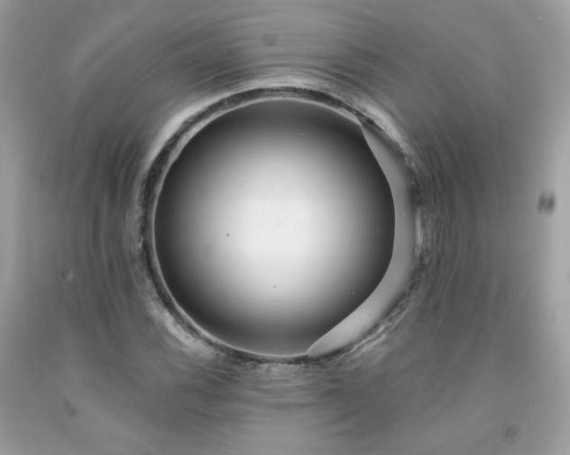 X0000091931116200709121553