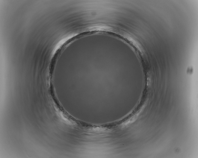 X0000091931117200709121553