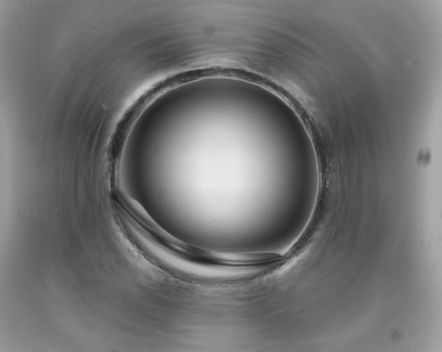 X0000091931118200709121553
