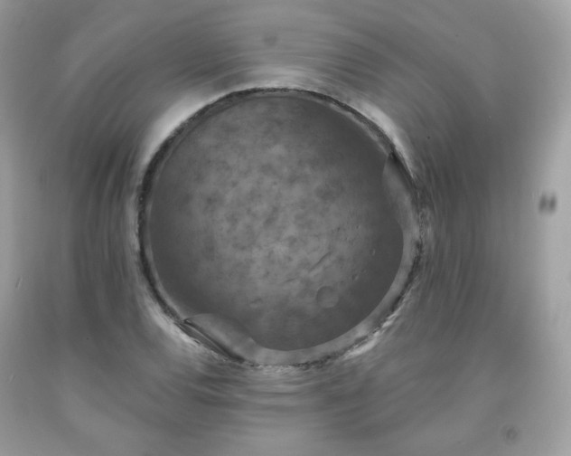X0000091931120200709121553