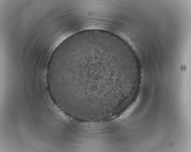 X0000091931121200709121553