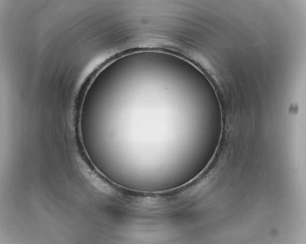 X0000091931122200709121553