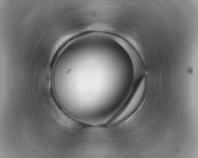 X0000091931123200709121553