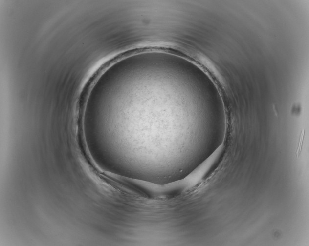 X0000091931124200709121553