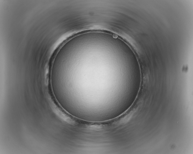 X0000091931126200709121553