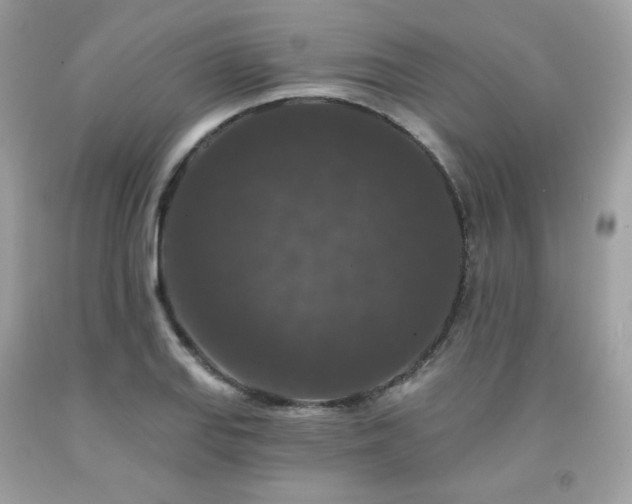 X0000091931127200709121553