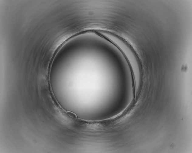 X0000091931129200709121553