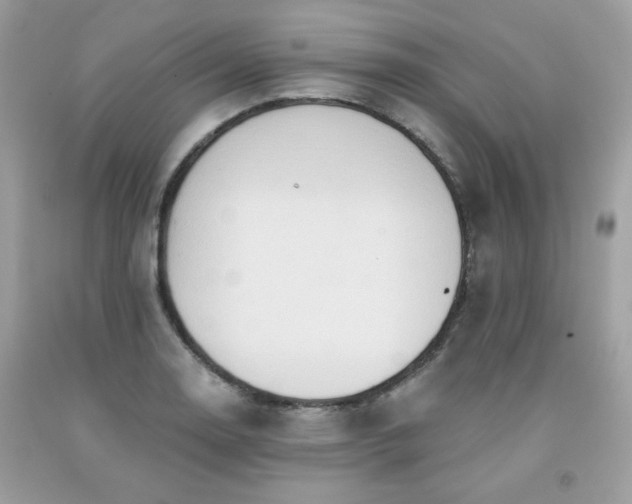 X0000091931130200709121553