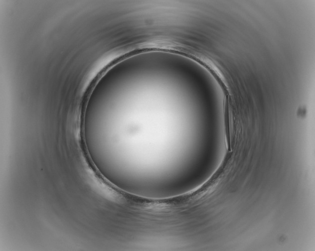 X0000091931131200709121553