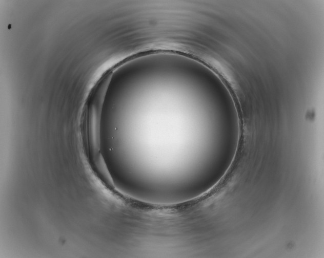 X0000091931133200709121553