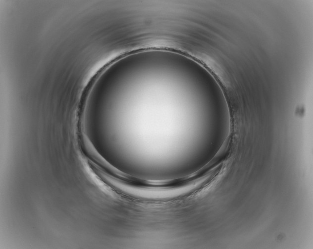 X0000091931134200709121553