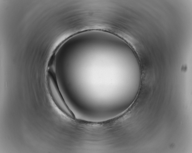 X0000091931135200709121553
