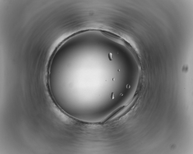 X0000091931136200709121553