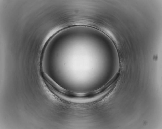 X0000091931138200709121553