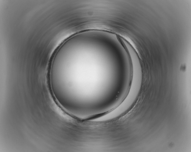 X0000091931139200709121553