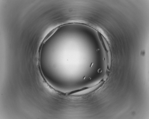 X0000091931140200709121553
