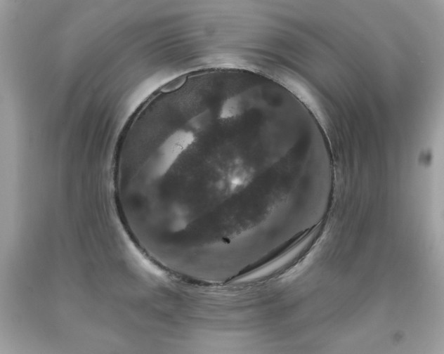 X0000091931141200709121553