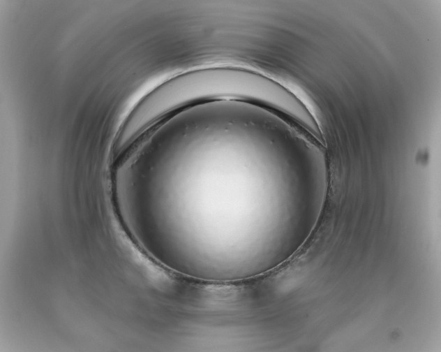 X0000091931142200709121553