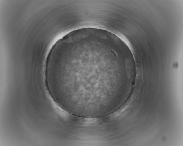 X0000091931144200709121553