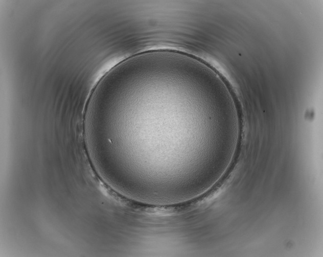 X0000091931145200709121553