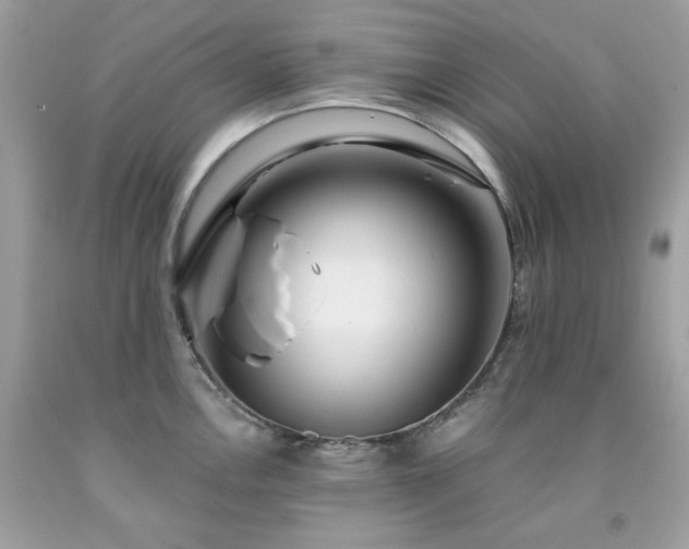 X0000091931146200709121553