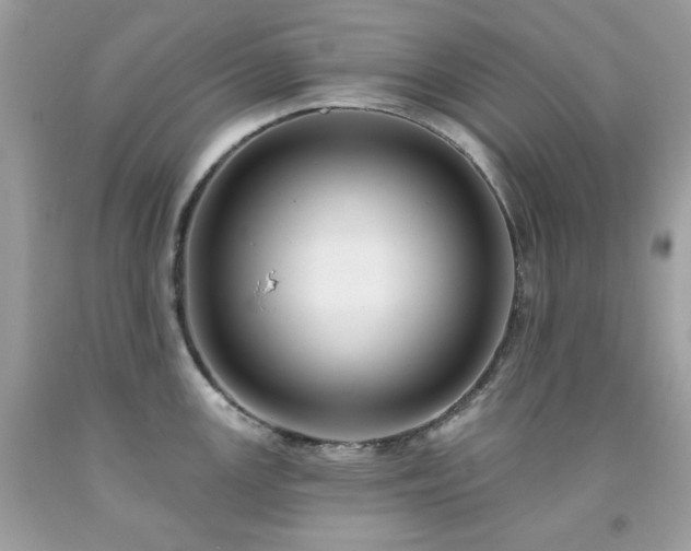 X0000091931147200709121553