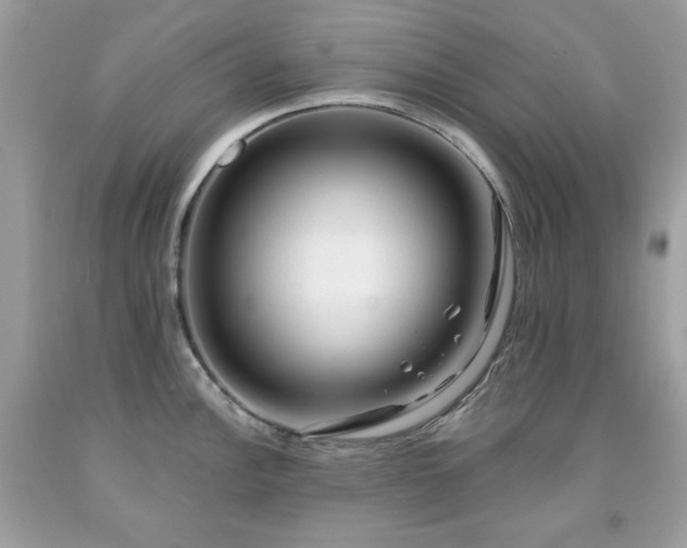 X0000091931148200709121553