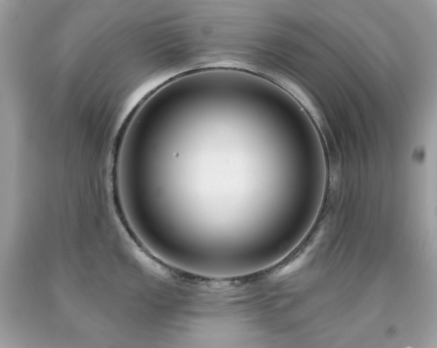 X0000091931149200709121554