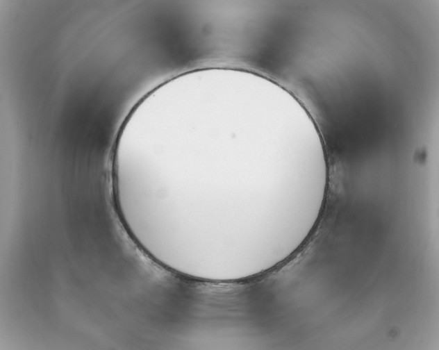 X0000091931150200709121554