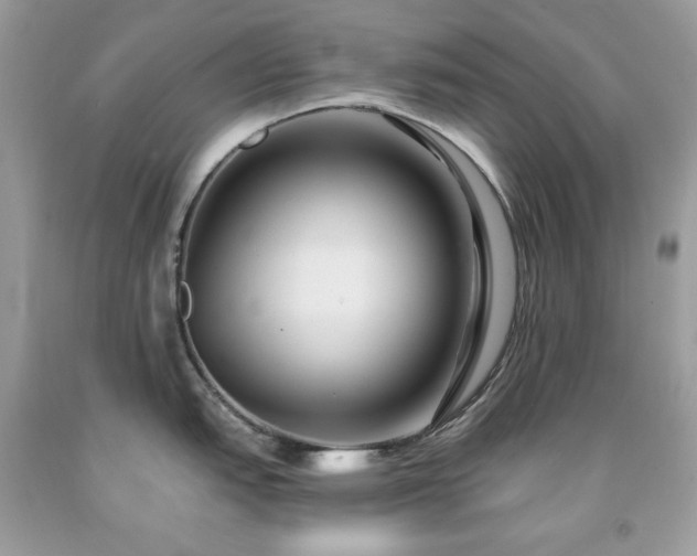 X0000091931151200709121554