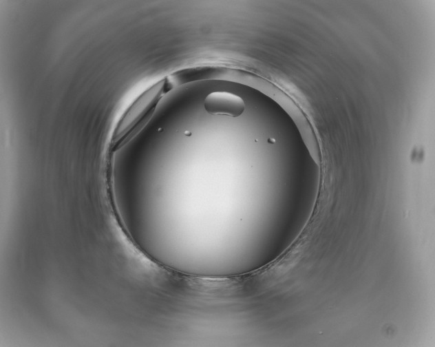 X0000091931152200709121554