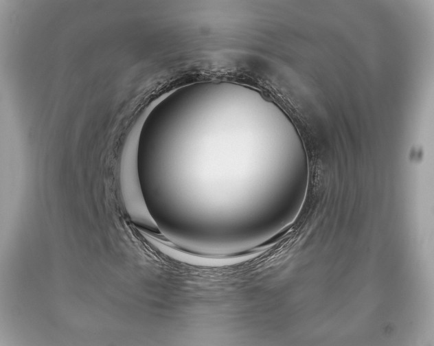 X0000091931153200709121553