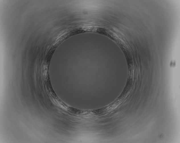 X0000091931154200709121553