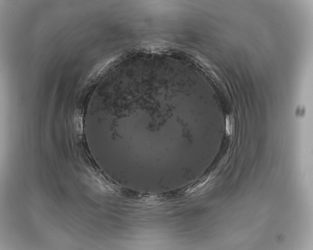 X0000091931155200709121553
