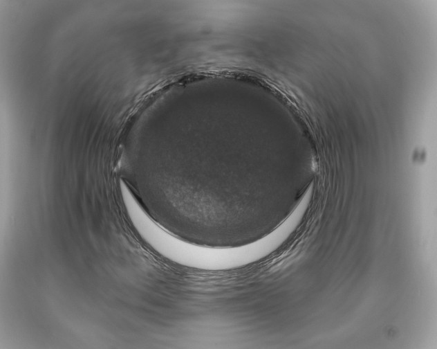 X0000091931156200709121553