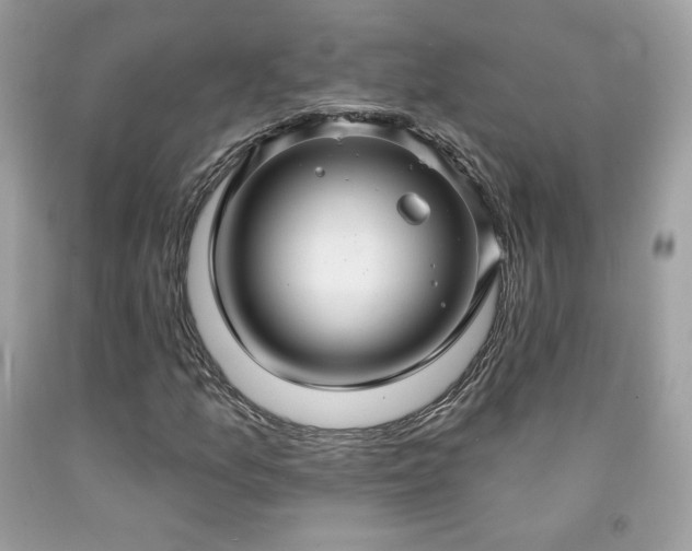 X0000091931157200709121553