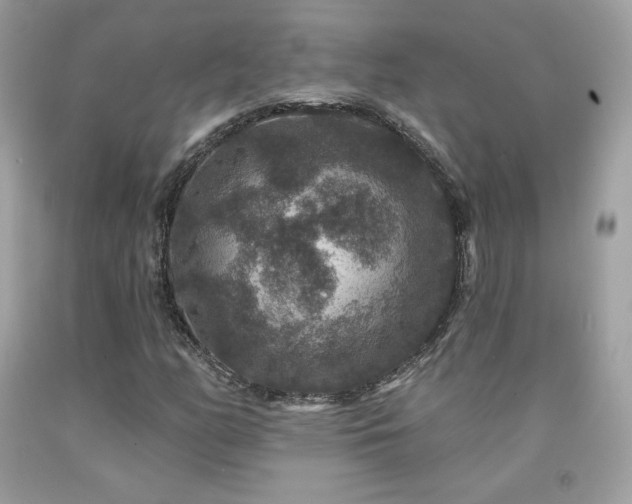 X0000091931158200709121553