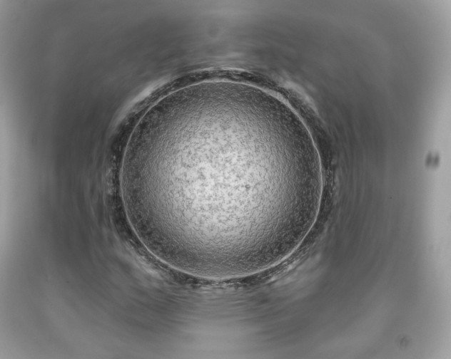 X0000091931159200709121553