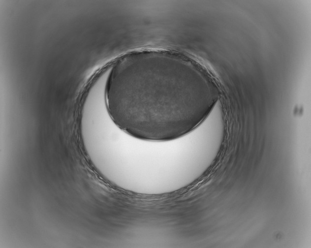 X0000091931160200709121553