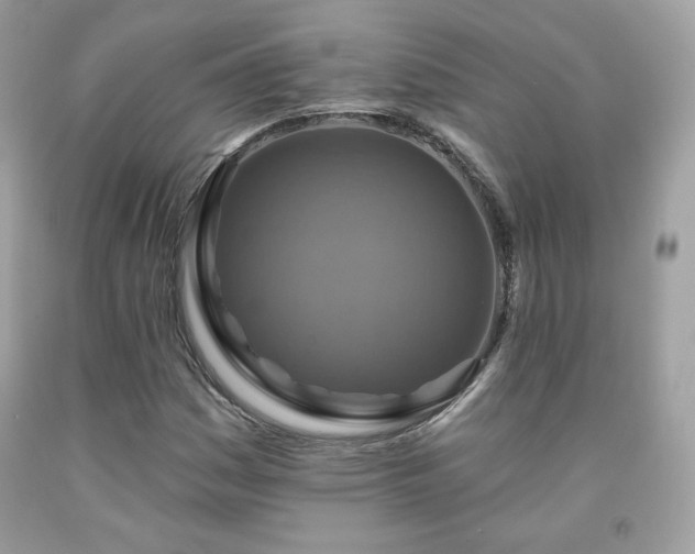 X0000091931161200709121553