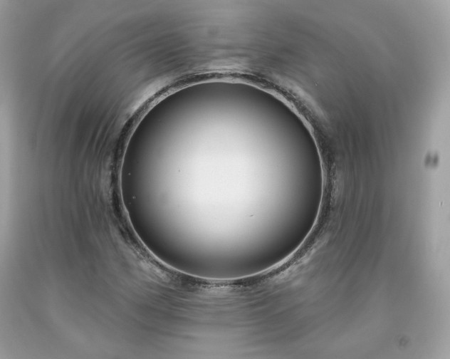 X0000091931162200709121553