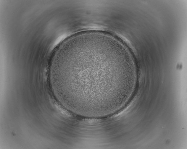 X0000091931163200709121553