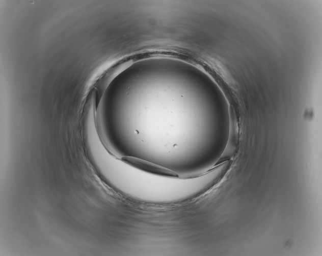 X0000091931164200709121553
