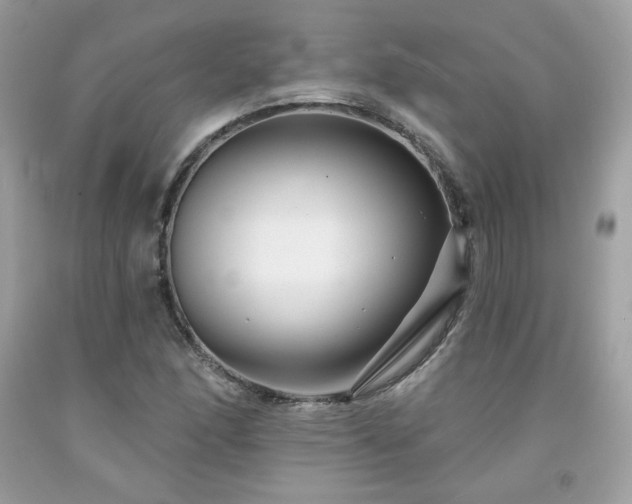 X0000091931166200709121553